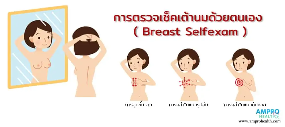 การตรวจเช็คเต้านมด้วยตนเอง ( Breast Selfexam )