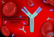 วิธีเพิ่มระดับภูมิคุ้มกันธรรมชาติ ร่างกายมีการเพิ่มภูมิคุ้มกันธรรมชาติโดยแอนติบอดี