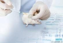 วัคซีนรักษาสมองเสื่อมมีอะไรบ้าง วัคซีนรักษาสมองเสื่อมมีอะไรบ้าง