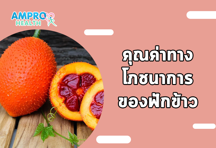 คุณค่าทางโภชนาการของฟักข้าว - ฟักข้าว (Gac fruit) คืออะไร? ประโยชน์ที่คุณอาจไม่เคยรู้