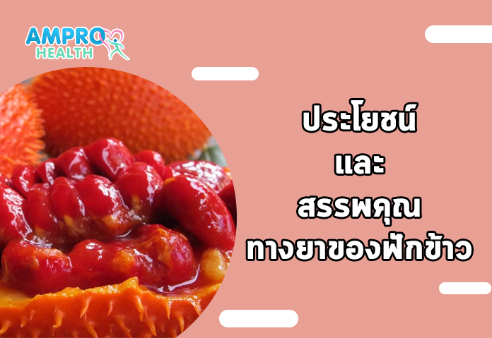 ประโยชน์และสรรพคุณทางยาของฟักข้าว - ฟักข้าว (Gac fruit) คืออะไร? ประโยชน์ที่คุณอาจไม่เคยรู้