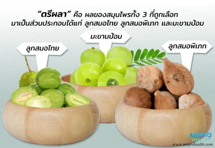 "ตรีผลา" ราชาแห่งการปรับสมดุลธาตุและล้างพิษ