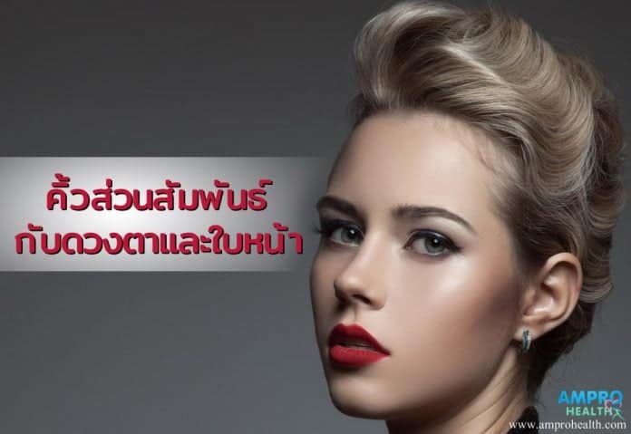 สัมพันธ์ของคิ้วต่อดวงตาและใบหน้า