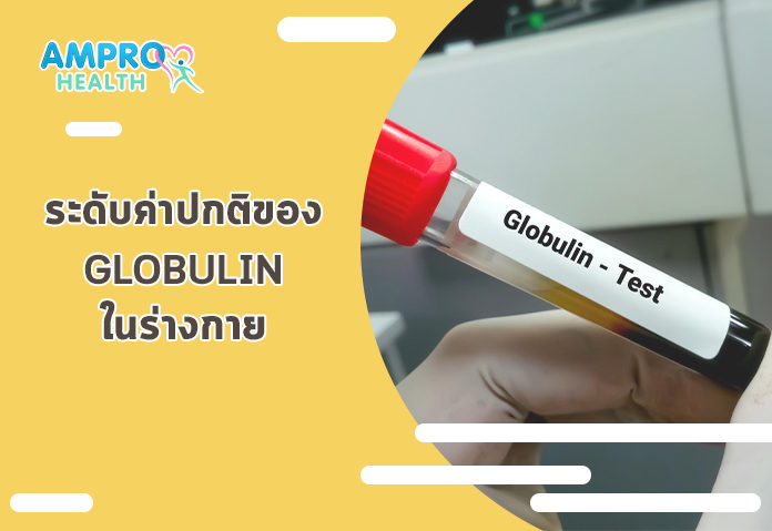 ระดับค่าปกติของ Globulin ในร่างกาย - รู้ก่อนป้องกันก่อน ทำไมต้องตรวจ Globulin และผลต่อร่างกาย