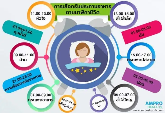 การเลือกรับประทานอาหารตามนาฬิกาชีวิต