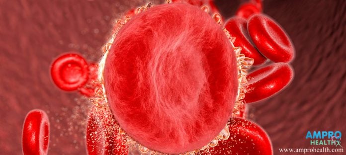 Red Blood Cell (RBC) คืออะไร? การตรวจและความสำคัญของเซลล์เม็ดเลือดแดง ...