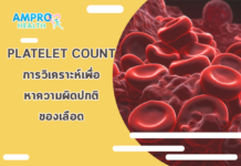 Platelet Count คืออะไร? การตรวจ วิเคราะห์ และการแปลผลค่าของเกล็ดเลือด