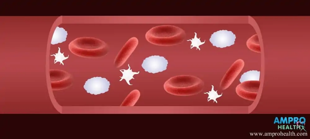 การตรวจนับจำนวนเกล็ดเลือด ( Platelet Count )