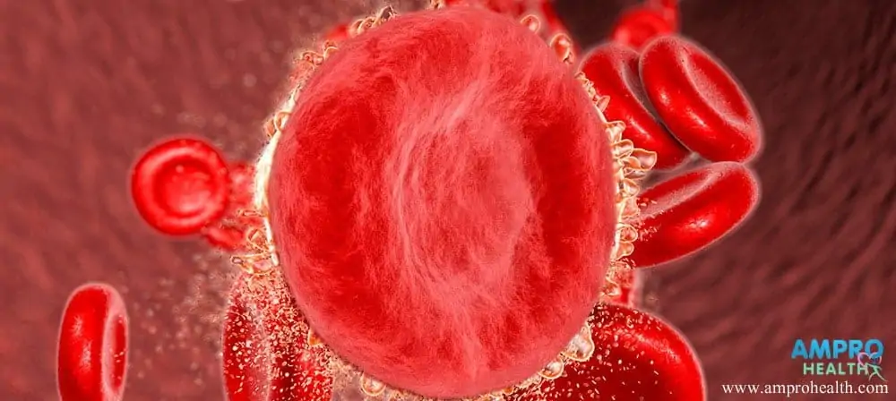 การตรวจนับจำนวนเซลล์เม็ดเลือดแดง RBC ( Red Blood Cell Count )