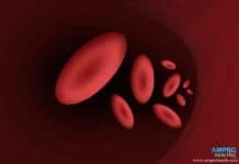 Red Blood Cell (RBC) คืออะไร? การตรวจและความสำคัญของเซลล์เม็ดเลือดแดง