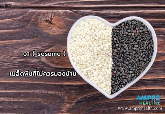 งา ( sesame ) เมล็ดพืชที่ไม่ควรมองข้าม