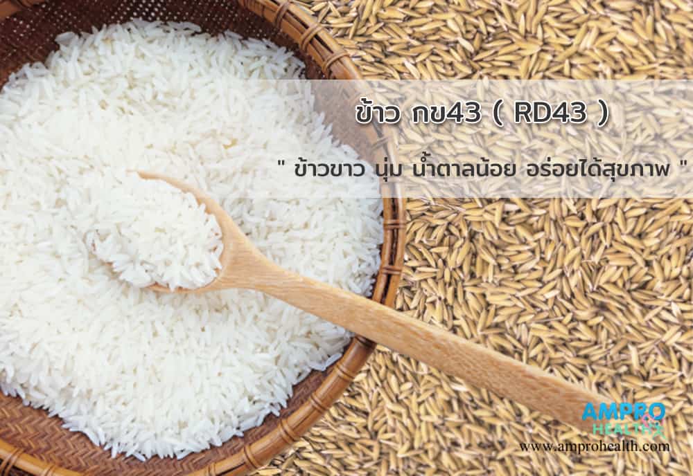 ข้าวขาว น้ำตาลต่ำ ข้าวกข 43 ( RD43 ) - AM Pro Health
