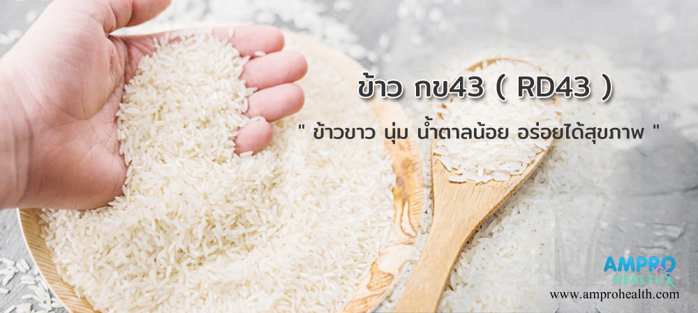 ข้าวขาว น้ำตาลต่ำ ข้าวกข 43 ( RD43 )