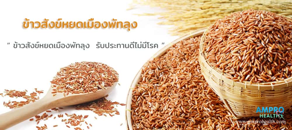 ข้าวสังข์หยดเมืองพัทลุง ( SANGYOD RICE )