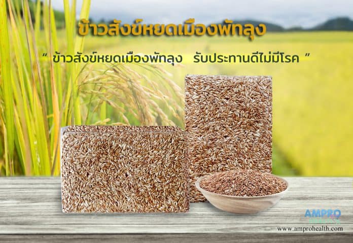 ข้าวสังข์หยดเมืองพัทลุง ( SANGYOD RICE )