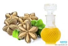 น้ำมันถั่วดาวอินคาสกัดเย็น ( Cold pressed sacha inchi oil ) น้ำมันถั่วดาวอินคาสกัดเย็น ( Cold pressed sacha inchi oil )