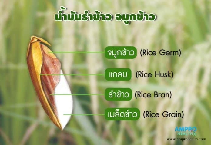 น้ำมันรำข้าวจมูกข้าว