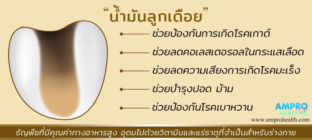 น้ำมันลูกเดือยสกัดเย็น ( Cold pressed millet oil )