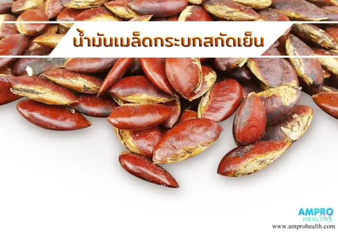 น้ำมันกระบกสกัดเย็น ( Cold pressed wild almond oil )