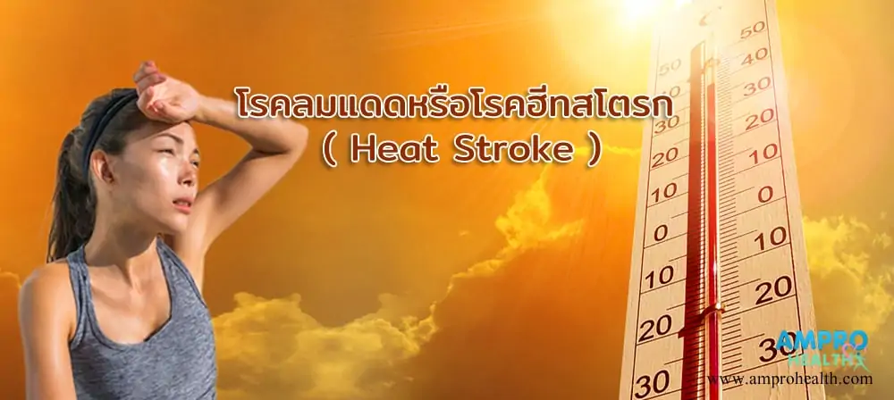 โรคลมแดดหรือโรคฮีทสโตรก ( Heat Stroke )