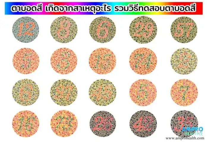 โรคตาบอดสี ( Color Blindness ) เกิดขึ้นได้อย่างไร