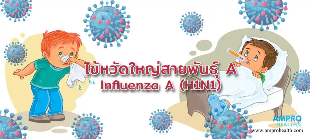 ไข้หวัดใหญ่ สายพันธุ์ A ( Influenza A หรือ H1N1 )