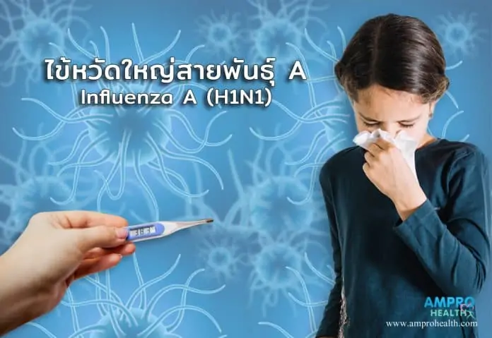 ไข้หวัดใหญ่ สายพันธุ์ A ( Influenza A หรือ H1N1 )