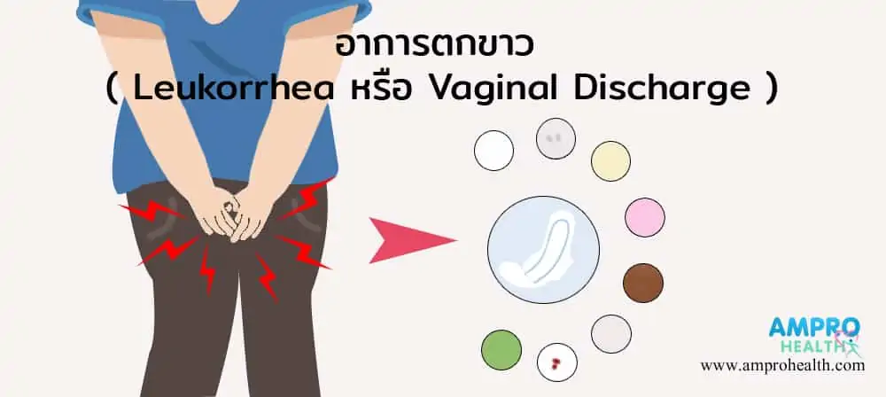 ตกขาว ( Leukorrhea หรือ Vaginal Discharge )