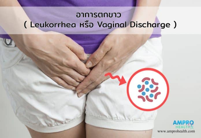 ตกขาว ( Leukorrhea หรือ Vaginal Discharge )