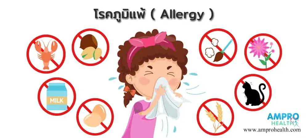 โรคภูมิแพ้ ( Allergy )
