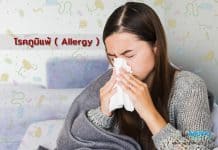 โรคภูมิแพ้ ( Allergy ) เกิดจากอะไร โรคภูมิแพ้ ( Allergy )