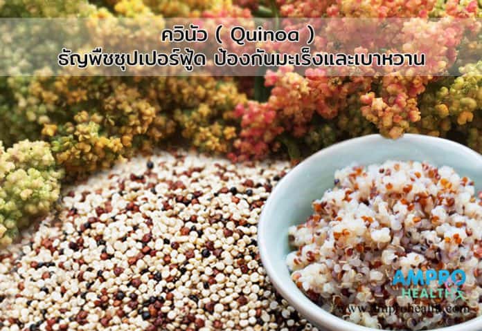 ควินัว ( Quinoa ) ธัญพืชซุปเปอร์ฟู้ด ป้องกันมะเร็งและเบาหวาน