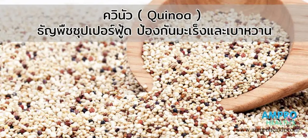 ควินัว ( Quinoa ) ธัญพืชซุปเปอร์ฟู้ด ป้องกันมะเร็งและเบาหวาน