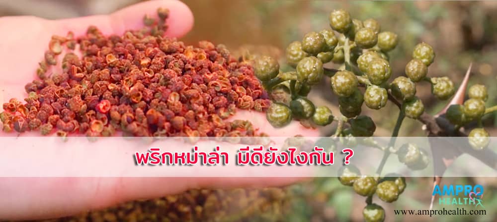 พริกหม่าล่า มีดีอย่างไร