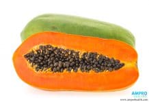 มะละกอผลไม้ดีท็อกซ์ เพื่อการลดน้ำหนักไม่ทำร้ายสุขภาพ มะละกอ ผลไม้ลดน้ำหนัก และดีต่อการขับถ่าย