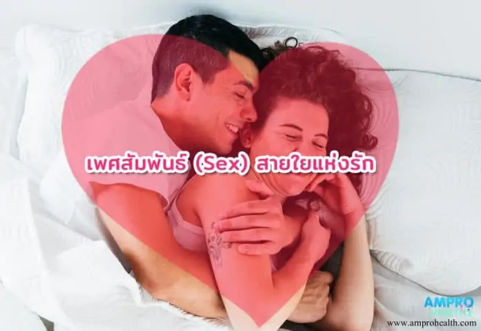 เพศสัมพันธ์ ( Sex ) สายใยแห่งรัก