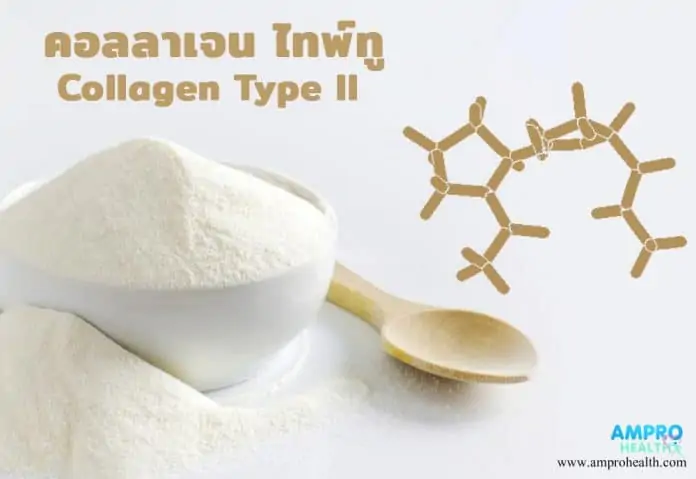 คอลลาเจนไทพ์ทู ( Collagen Type II ) มีประโยชน์อย่างไร