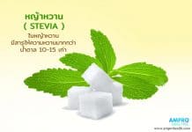 หญ้าหวาน หรือ สตีเวีย ประโยชน์สมุนไพรเพื่อสุขภาพ สตีเวีย