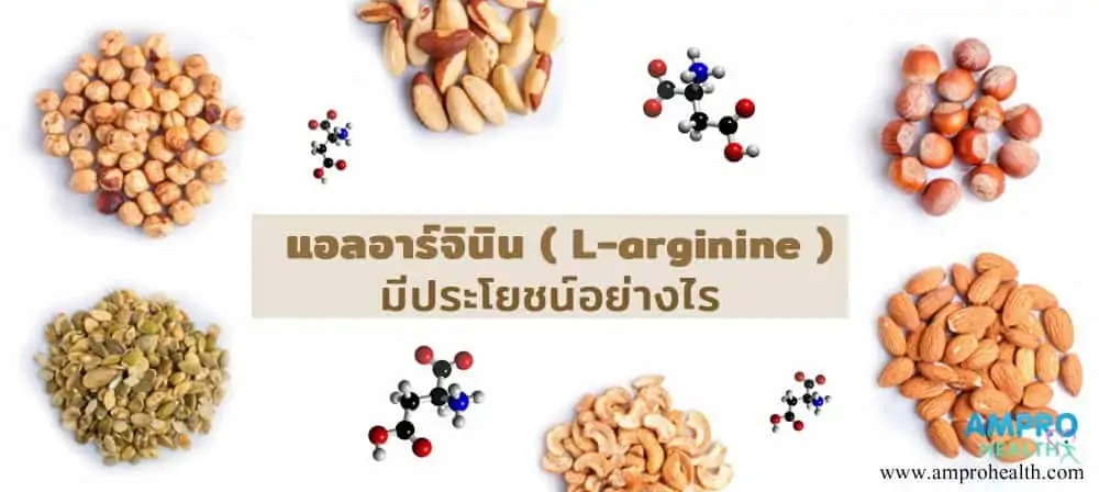 L-Arginine ( แอล-อาร์จินิน ) มีประโยชน์อย่างไร