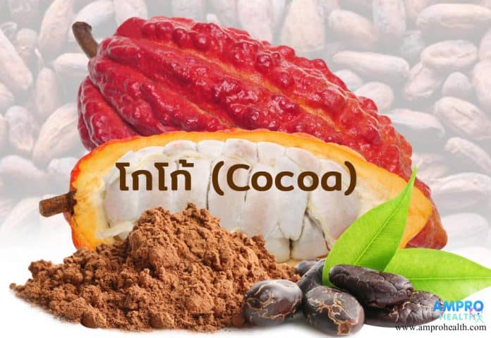 โกโก้ ( Cocoa ) เมล็ดจากต้นคาเคา ( Cacao )