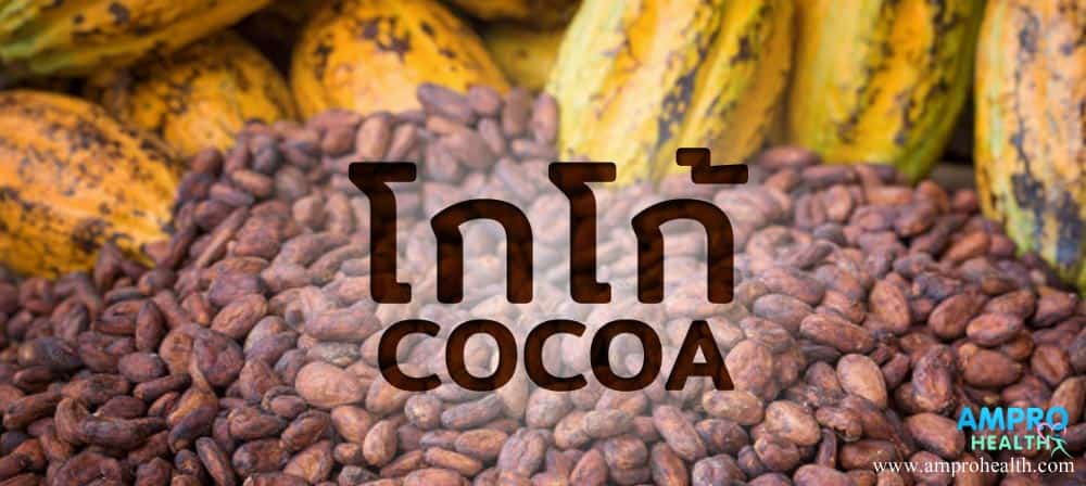 โกโก้ ( Cocoa ) เมล็ดจากต้นคาเคา ( Cacao )
