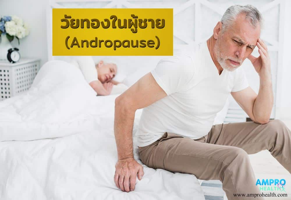 วัยทองในผู้ชาย ( Male Menopause ) มีอาการอย่างไร