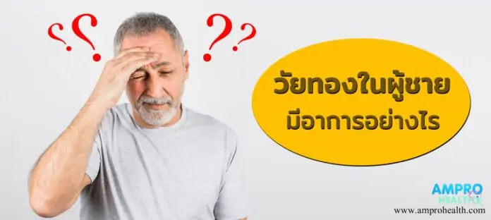 วัยทองในผู้ชาย ( Male Menopause ) มีอาการอย่างไร