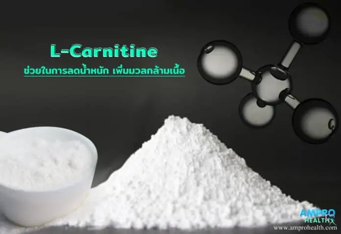 แอลคาร์นิทีน ( L- Carnitine ) มีประโยชน์อย่างไร