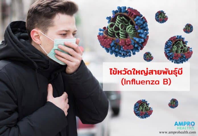 ไข้หวัดใหญ่ สายพันธุ์บี ( Influenza B ) คืออะไร