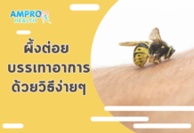 ผึ้งต่อย บรรเทาอาการด้วยวิธีง่ายๆ วิธีปฐมพยาบาลเบื้องต้น ผึ้งต่อย บรรเทาอาการด้วยวิธีง่ายๆ วิธีปฐมพยาบาลเบื้องต้น