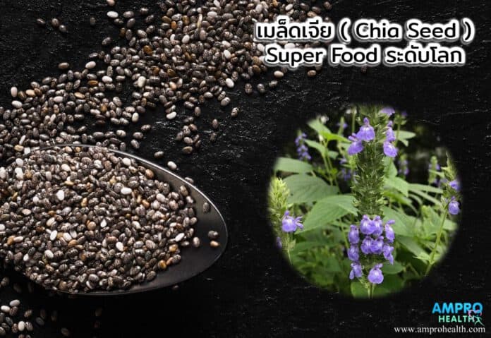 เมล็ดเจีย ( Chia Seed ) Super Food ระดับโลก