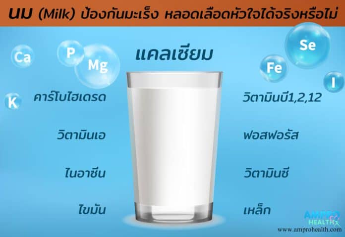 นม ( Milk ) ป้องกันมะเร็ง หลอดเลือดหัวใจได้จริงหรือไม่?