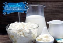 นมเปรี้ยว เครื่องดื่มที่ได้ทั้งสุขภาพและความงามที่สาว ๆ ไม่ควรพลาด นมเปรี้ยว เครื่องดื่มที่ได้ทั้งสุขภาพและความงามที่สาว ๆ ไม่ควรพลาด