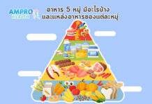 อาหาร 5 หมู่ มีอะไรบ้าง และแหล่งอาหารของแต่ละหมู่